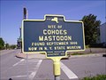 Image for Cohoes Mastodon