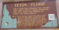 Image for #345 - Teton Flood