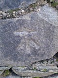 Image for Cut Mark- Stone Wall, Ardentinny.