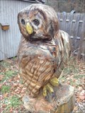 Image for Owl - Holland, Michigan