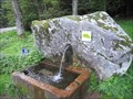 Image for Fontaine de Richert, Vosges, France