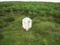 Image for Cut Benchmark on "Mid 7" Milestone on B6282 road to Woodland, County Durham