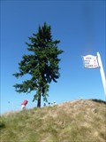 Image for Chambers Bay Golf Course - University Place, Washington