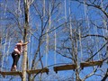 Image for Go Ape Adventure- Rope Course - Plano, TX, US