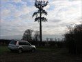 Image for Tree mobile (cell) mast