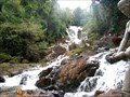 Image for Datanla Waterfalls - Dalat, Vietnam