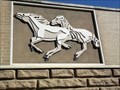 Image for Horses - Irving, TX