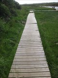 Image for Stepping Stones and Boardwalk - Nr Dwyran, Anglesey, North Wales, UK