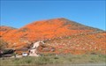 Image for "‘Super bloom’ shutdown: Lake Elsinore shuts access after crowds descend on poppy fields" - Lake Elsinore, CA