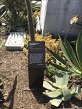 Image for Joan Didion - Victoria Gardens - Rancho Cucamonga, CA
