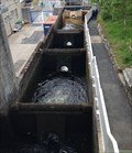 Image for Pitlochry Dam fish ladder