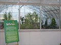 Image for Butterfly Farm and Conservatory at Greenway (was Naturium)