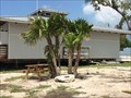 Image for Dedicated Florida Thatch Palms - Bahia Honda Key, Florida, USA
