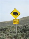 Image for Buffalo Crossing - Antelope Island Park, Utah
