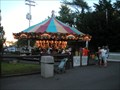 Image for York's Wild Kingdom Carousel