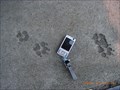 Image for Dog footprints near IchikawaOhno Station - Chiba, JAPAN