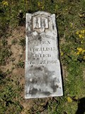 Image for FIRST Marked Grave in Ferguson Cemetery - Limestone County, TX