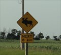 Image for Moose Xng -- SK SH 47 South of Stoughton SK CAN
