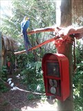 Image for Feeding the Blue-Throated Macaws - Miami, FL