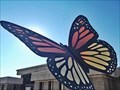 Image for Monarch Butterfly - Lampasas, TX