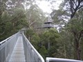 Image for Otway Fly tree canopy walk - Otway Ranges, Victoria