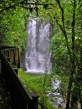 Image for Waitanguru Falls Lookout. near Piopio. North Is. New Zealand.
