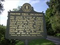 Image for Pawpaw Tree Incident