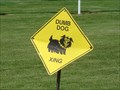 Image for Dumb Dog Crossing - Hoytsville, Utah