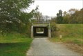 Image for Katy Trail Tunnell - Scott Blvd., Columbia, MO