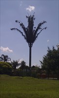 Image for Disguised cell phone tower Wierda Park, Pretoria,ZA