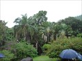 Image for Botanischer Garten Victoria - Mahe, Seychelles