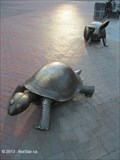 Image for The Tortoise and Hare, Copley Plaza - Boston, MA