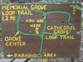 Image for Memorial Grove- You Are Here - Copper Harbor, MI