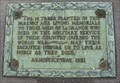 Image for 14 Trees WW1 Memorial - La Grange, IL