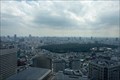 Image for View from the City Hall - Tokyo, Japan