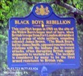 Image for Black Boys Rebellion