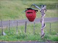 Image for The Strawberry Mail Box. Awakino. New Zealand.