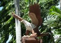Image for Bald Eagle at Holy Gardens Memorial Park  -  Taytay, Philippines