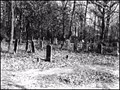 Image for Old Wooley Cemetery - Brick, NJ