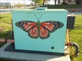 Image for Butterfly Box - KSU - Wichita, KS