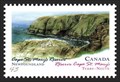 Image for Cape St. Mary’s Ecological Reserve, Newfoundland