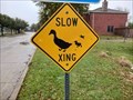Image for Duck Crossing - Wylie, TX