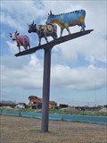 Image for Elevated Cows - Houston, TX