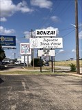 Image for Bonzai Japanese Steak House - Abilene, TX