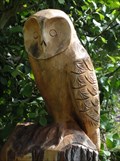 Image for Owl Tree Stump - Lancaster, UK