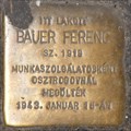 Image for Bauer Ferenc Budapest, Hungary