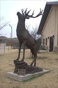 Image for The Elk - Oklahoma City, Oklahoma USA