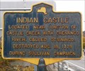 Image for Indian Castle