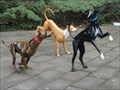 Image for Greyhounds - Stockton-On-Tees, UK