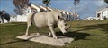 Image for Rinoceronte - Palos de la Frontera, Huelva, España